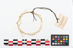 Foto von Goldspiraldrahtarmring (NHMW-PRAE-055956)